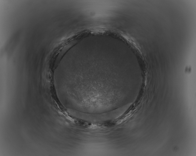 X0000091521445200708241640