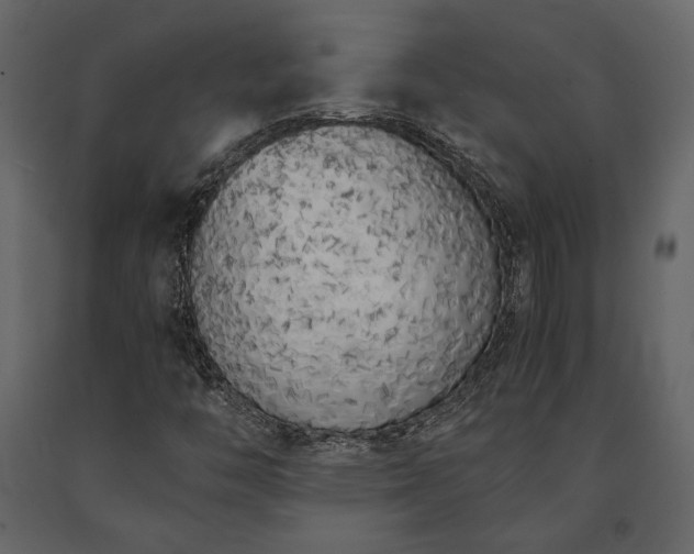X0000091521446200708241640