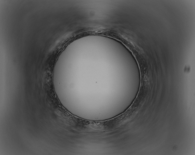 X0000091521447200708241640