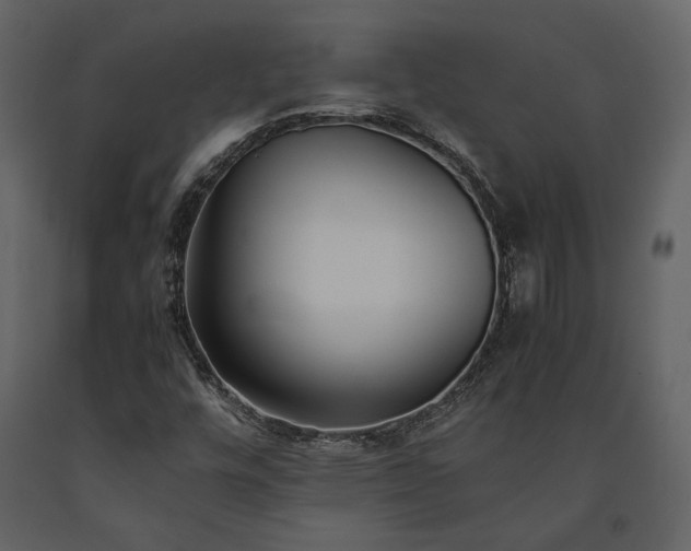 X0000091521448200708241640