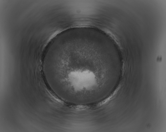 X0000091521449200708241640