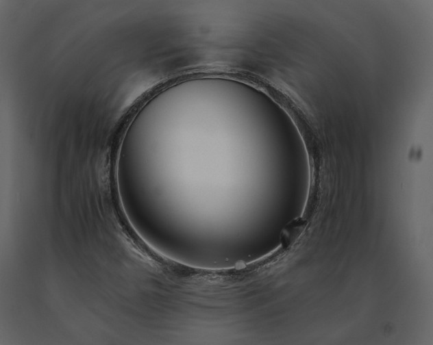 X0000091521450200708241640