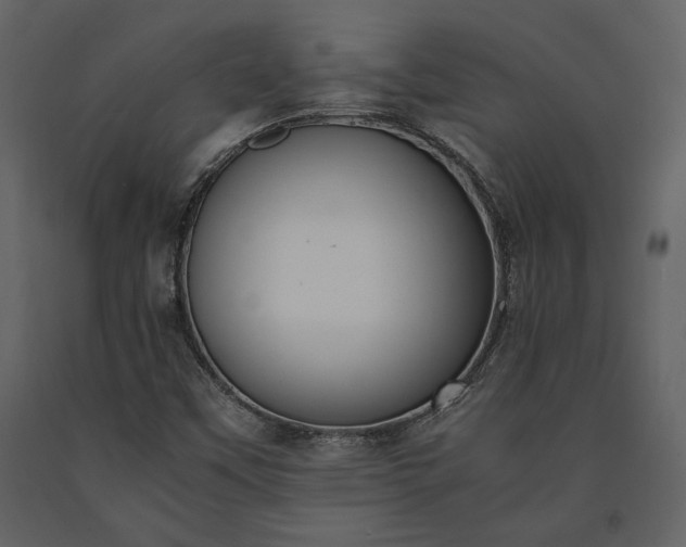 X0000091521451200708241640
