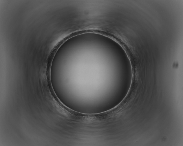 X0000091521452200708241640
