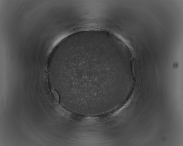 X0000091521453200708241640