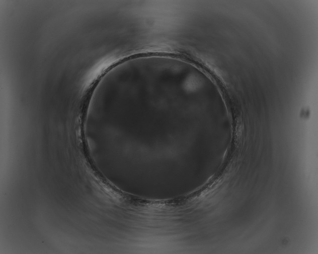 X0000091521455200708241640