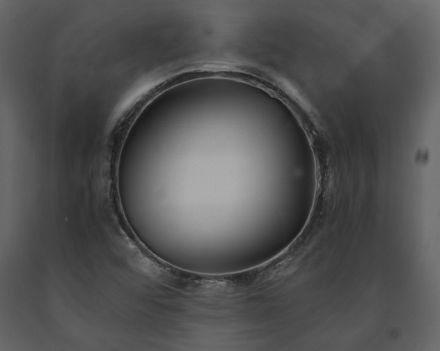 X0000091521456200708241640