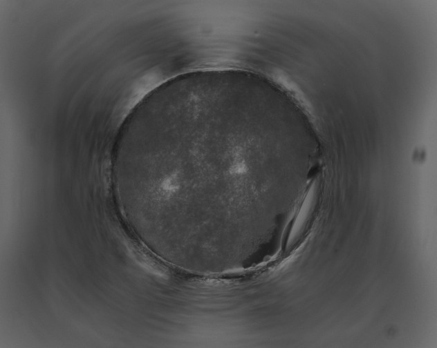 X0000091521457200708241640