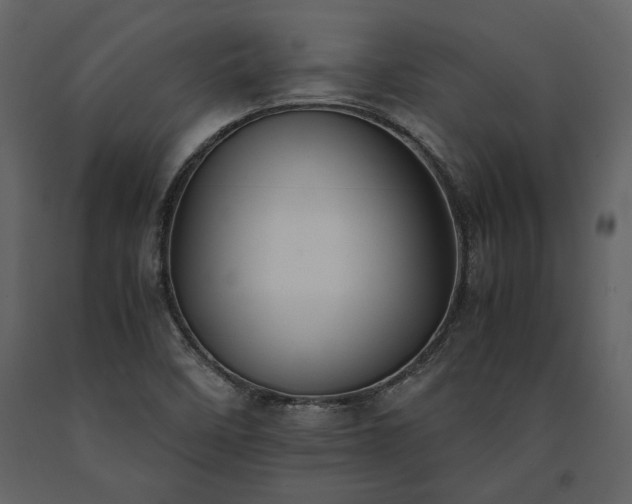 X0000091521458200708241640