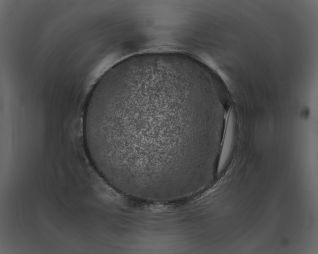 X0000091521459200708241640