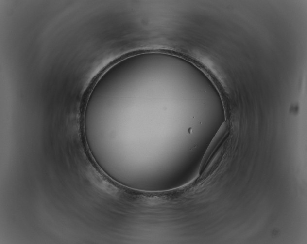 X0000091521460200708241640