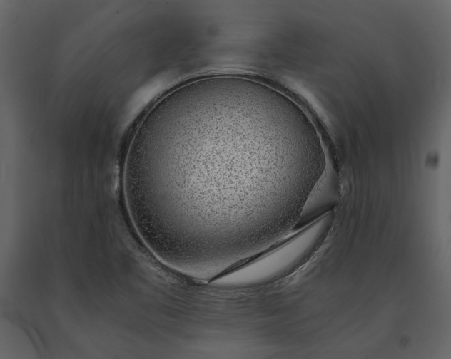 X0000091521461200708241640