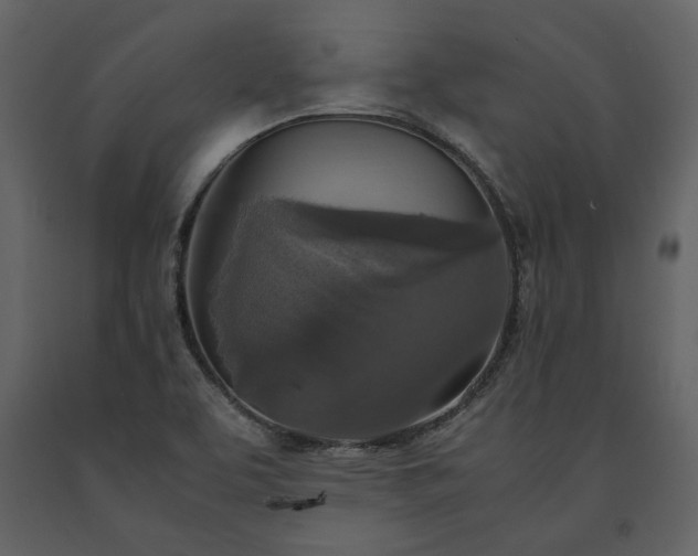 X0000091521463200708241640
