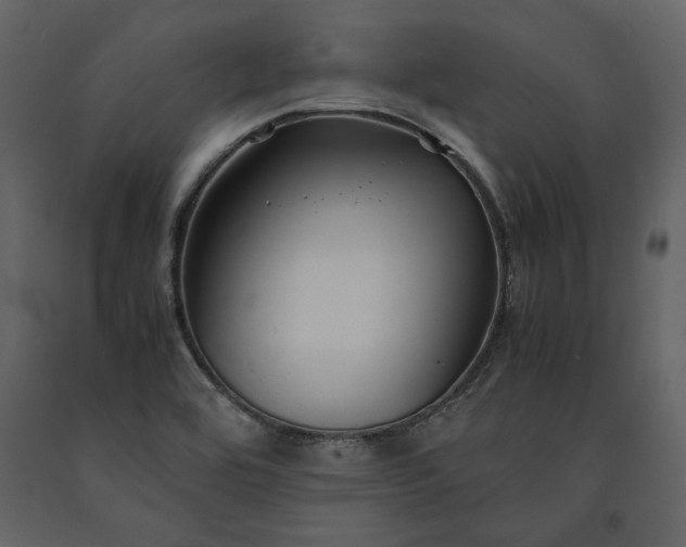 X0000091521464200708241640