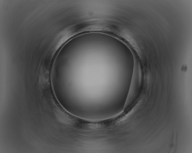 X0000091521465200708241640