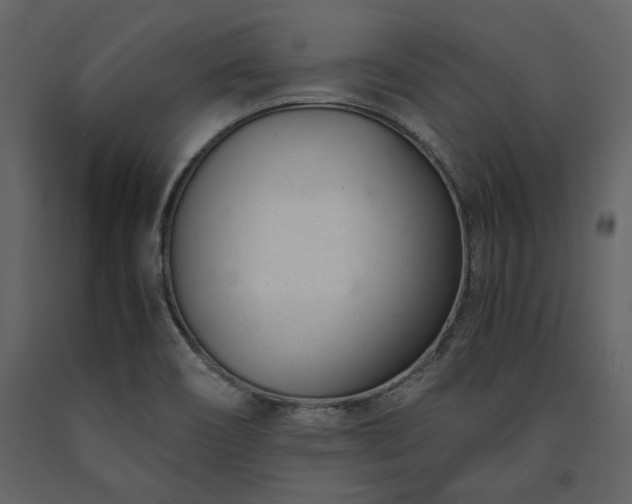 X0000091521466200708241640