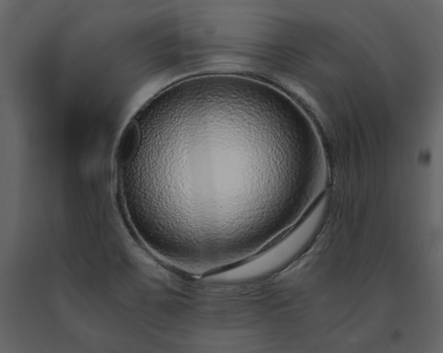 X0000091521467200708241640