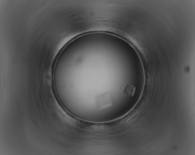 X0000091521468200708241640