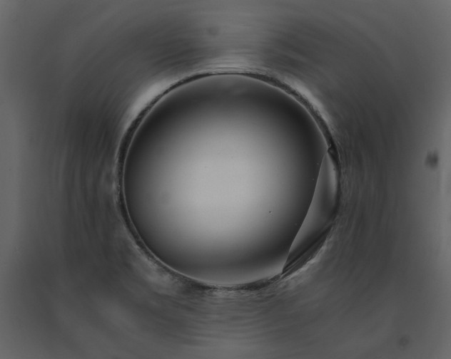 X0000091521469200708241640