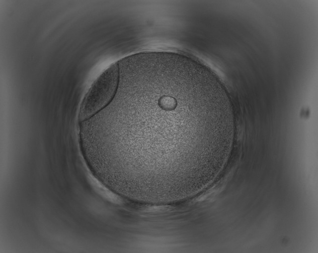 X0000091521471200708241640