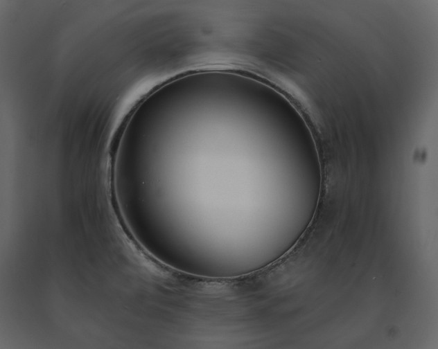 X0000091521472200708241640