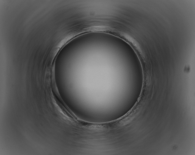 X0000091521473200708241640