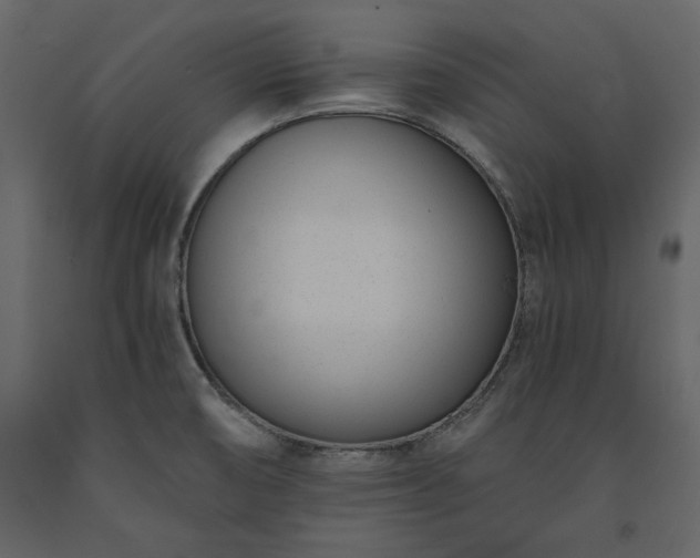 X0000091521474200708241639
