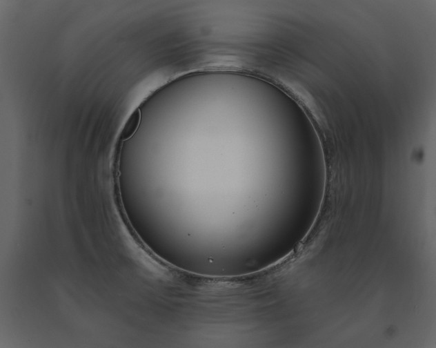X0000091521475200708241639