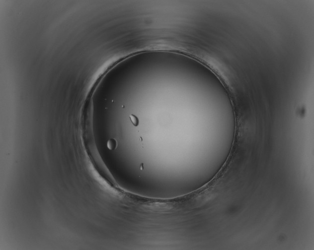 X0000091521476200708241639