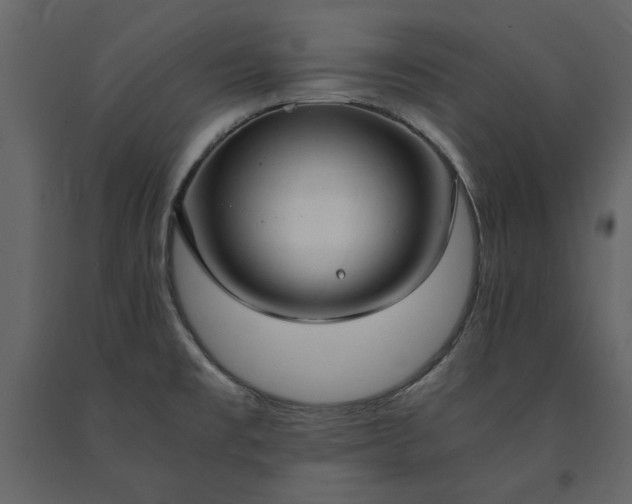 X0000091521477200708241639