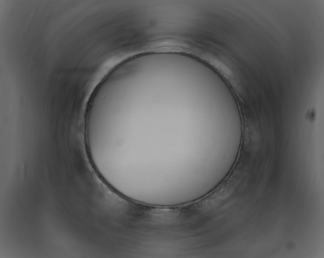 X0000091521478200708241639