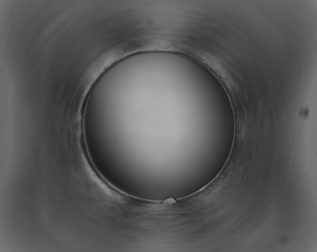 X0000091521479200708241639