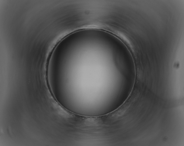 X0000091521480200708241639