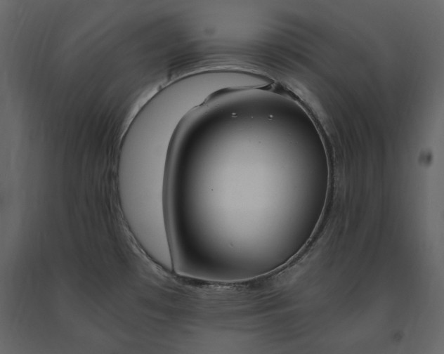 X0000091521481200708241639