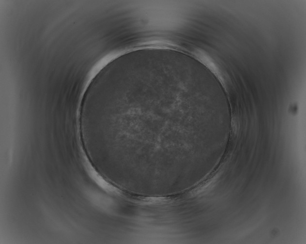 X0000091521482200708241639