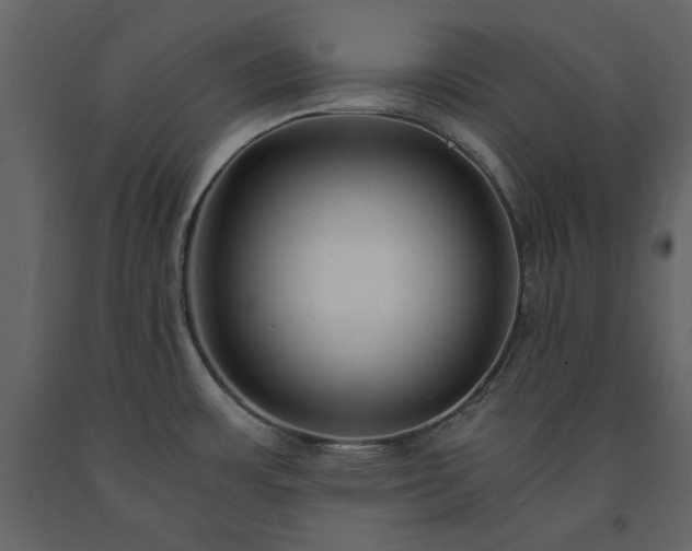 X0000091521483200708241639