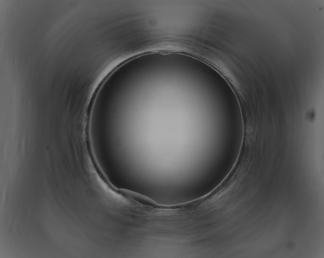 X0000091521484200708241639