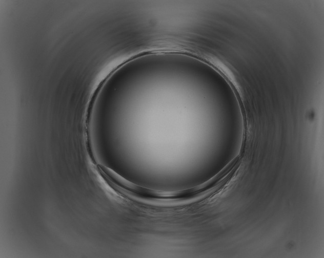 X0000091521485200708241639