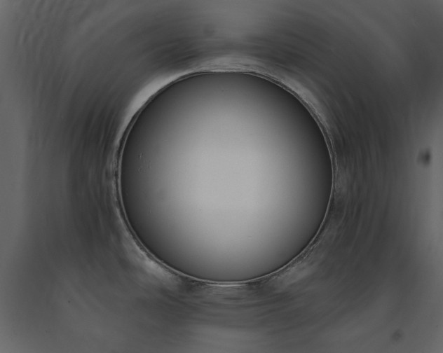 X0000091521486200708241639