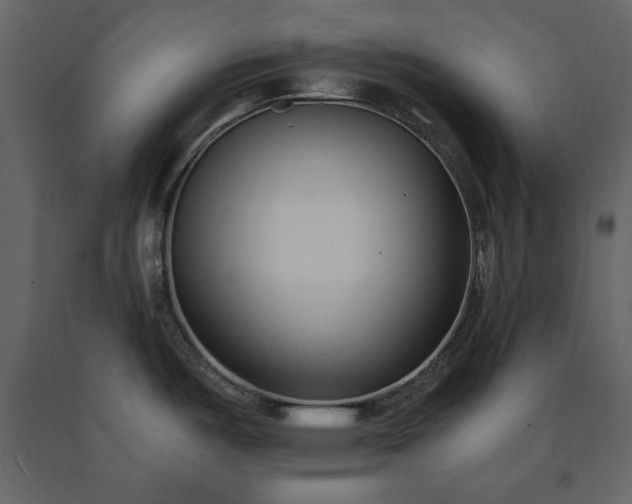 X0000091521487200708241639