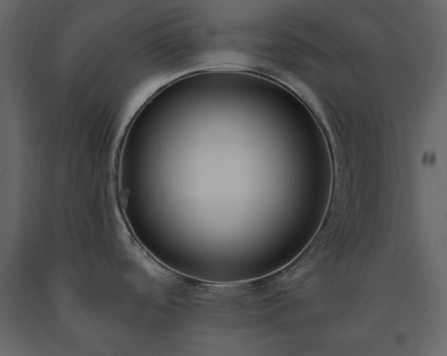 X0000091521488200708241639