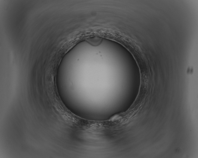 X0000091521489200708241639