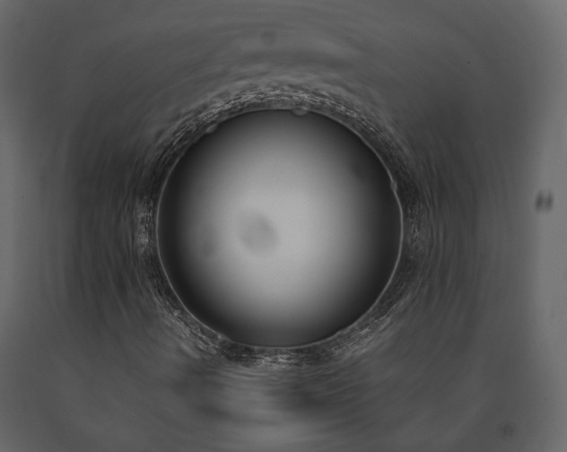 X0000091521490200708241639