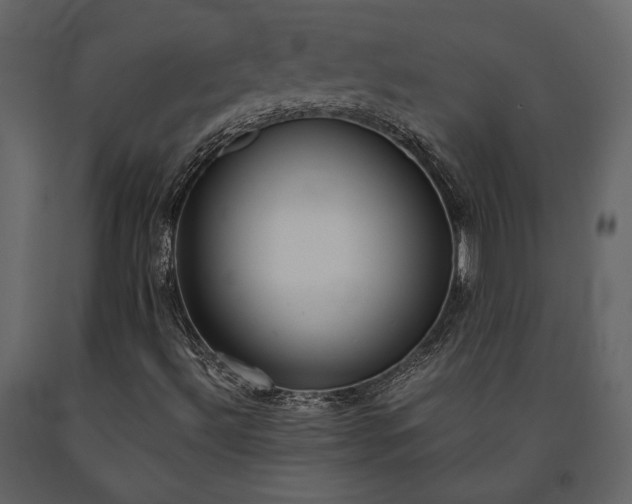 X0000091521492200708241639