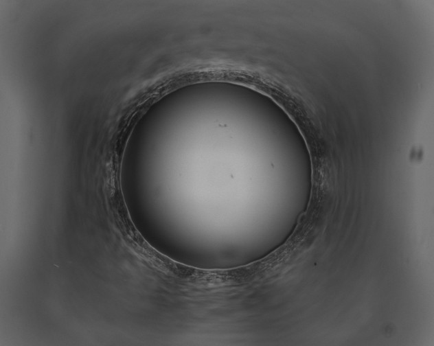 X0000091521493200708241639