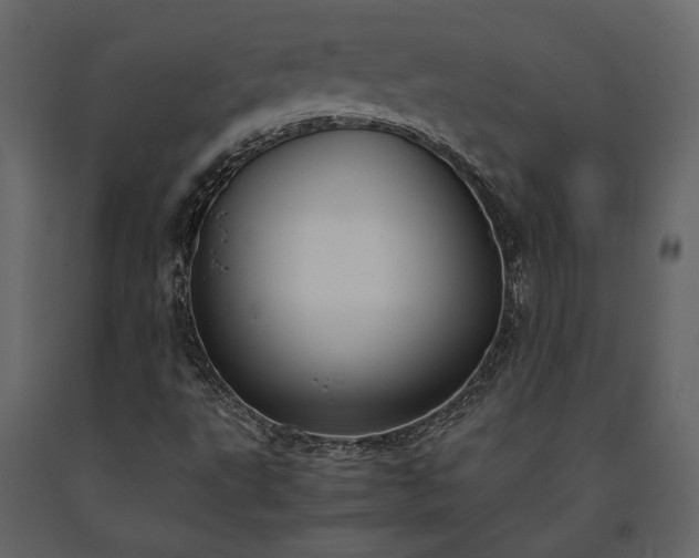 X0000091521495200708241639