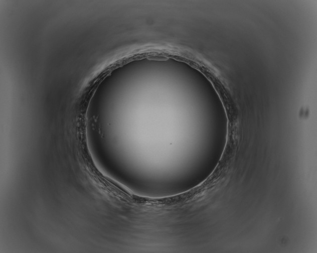 X0000091521496200708241639