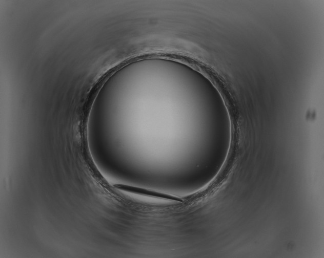 X0000091521497200708241639