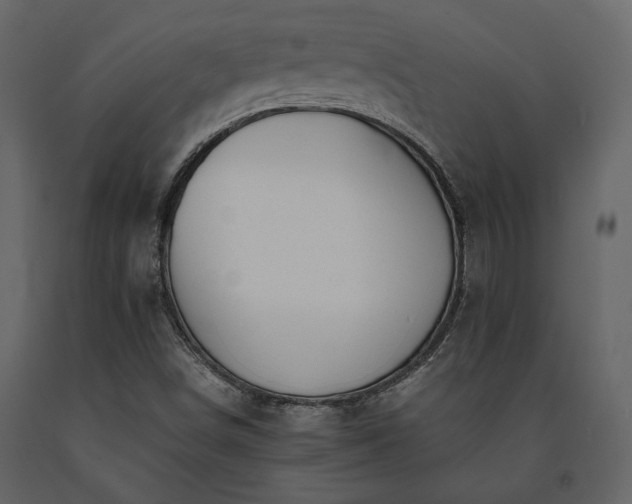 X0000091521498200708241639