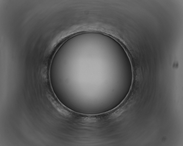 X0000091521499200708241639